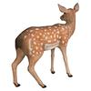 Design Toscano Spotted Deer, Forest Fawn Sculpture NE110108